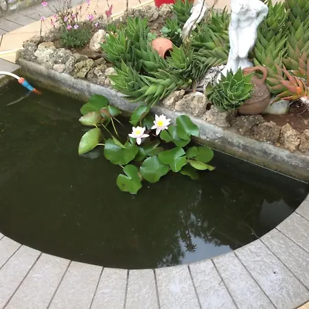 Villasoledad Per Vacanze Apartman *